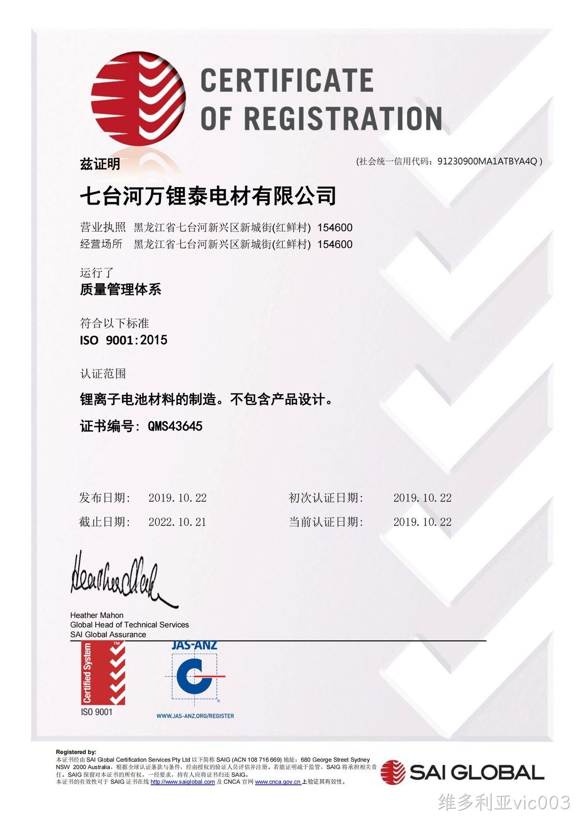 维多利亚vic003公司质量管理体系培训会如期举行(图3)