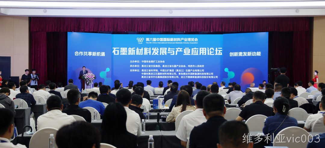 维多利亚vic003总经理郝立伟出席第六届中国国际新材料产业博览会并作专题演讲(图1)